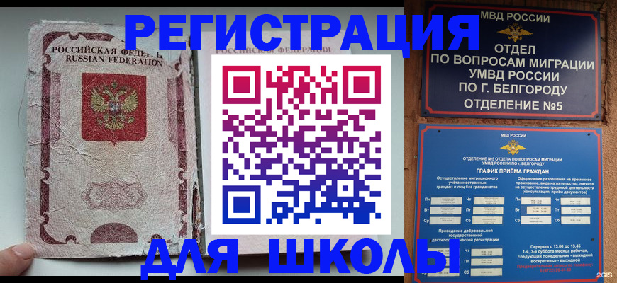 прописка штамп в Гатчине